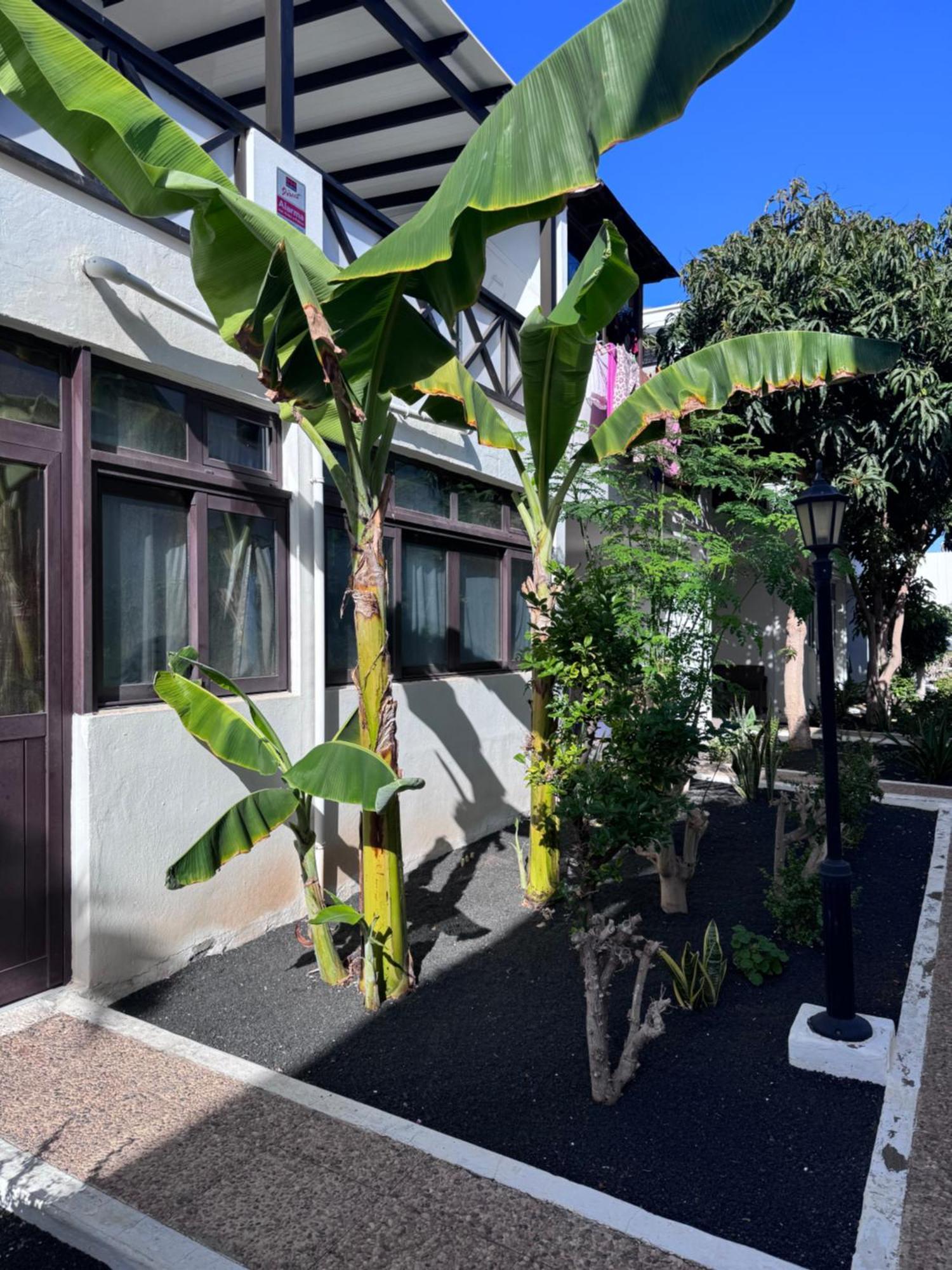 Casa Ana Puerto Del Carmen Διαμέρισμα Tías Εξωτερικό φωτογραφία